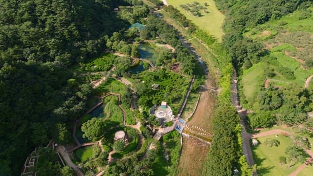 Vast landscape of green trees and forests