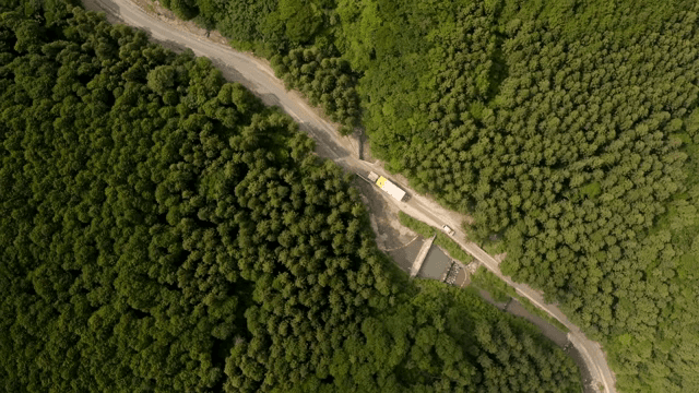 울창한 숲 속 도로를 가로지르는 차량