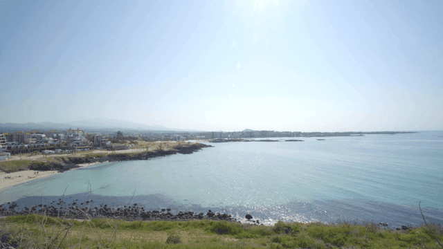Coastal cityscape with a serene beach