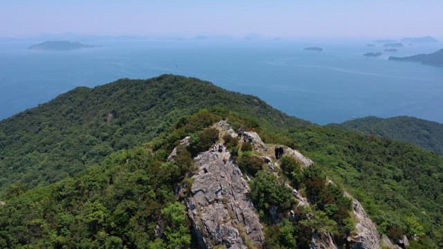 바다가 내려다보이는 푸르게 우거진 산 정상