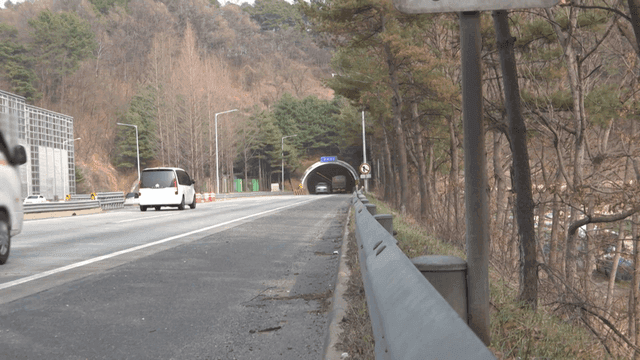 Highway tunnel entrance between forests
