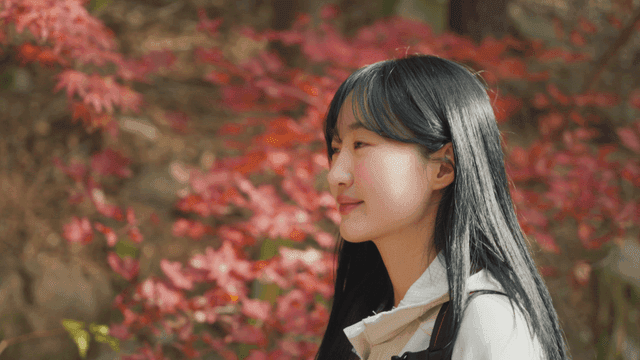 Woman enjoying autumn foliage in forest