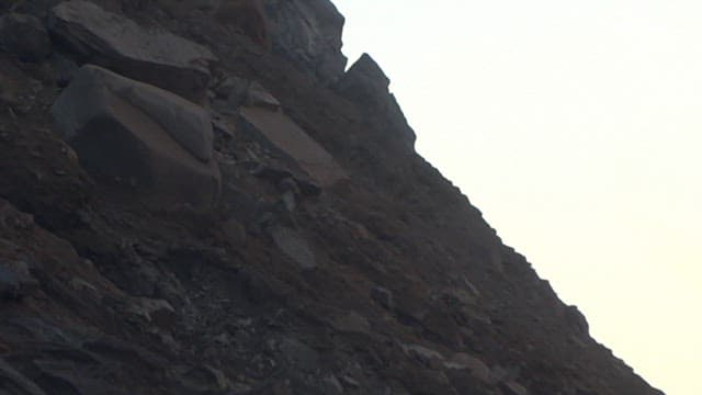 절벽에서 굴러 떨어지는 동물