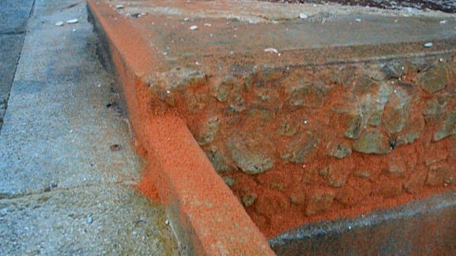 돌담 위를 기어 다니는 붉고 작은 게들