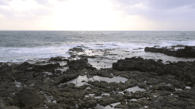 Rocky shoreline with waves and seagulls
