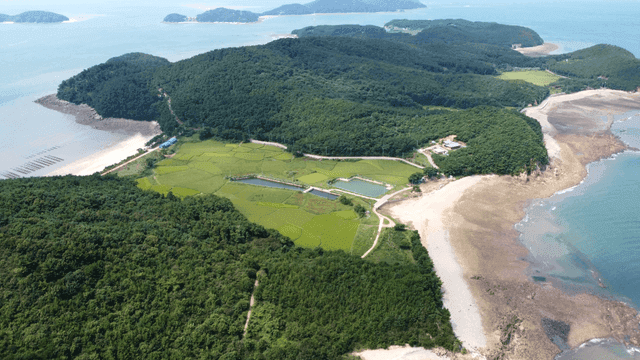 Blue island surrounded by wide rice fields and blue sea