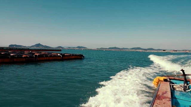 양식장을 지나는 보트 한 척