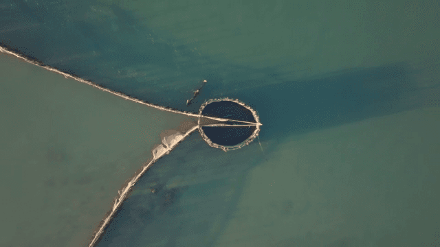 잔잔한 바다의 양식장