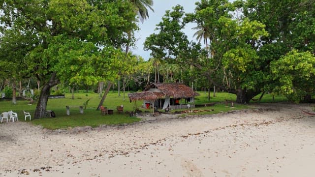 Serene beach with a small hut and lush greenery