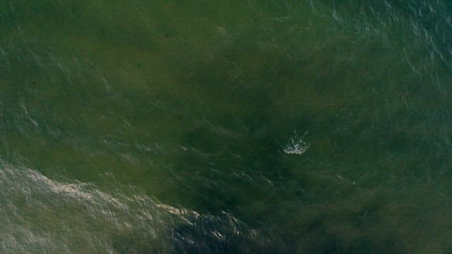 위에서 본 파도치는 바다