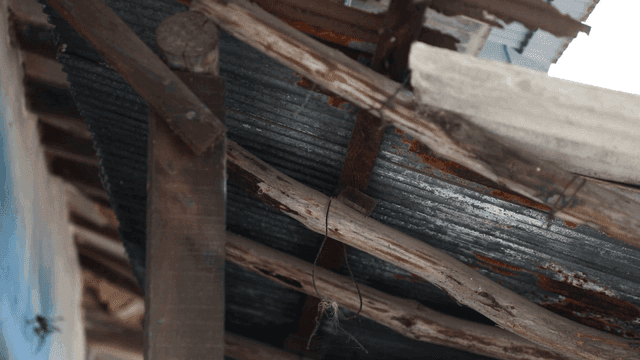 Old wooden beams and metal roof