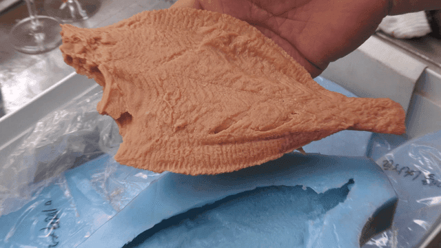 Fish-shaped molds and moulds