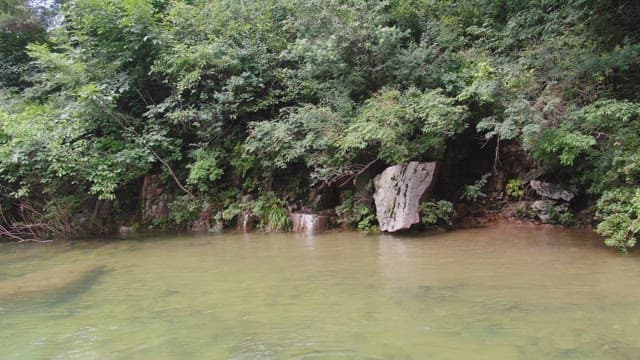 Tranquil river surrounded by lush greenery