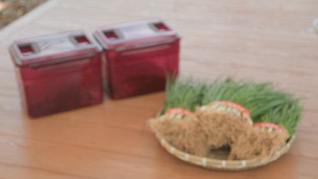 나무 평상 위에 올려진 수확된 신선한 대파와 김치통