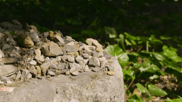 푸른 숲 속의 돌무더기