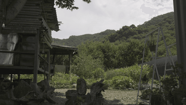 푸른 숲으로 둘러싸인 시골 오두막