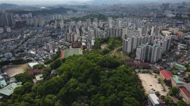 녹지와 밀집된 건물들이 보이는 도시 경관