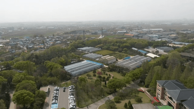 온실과 건물의 항공 뷰