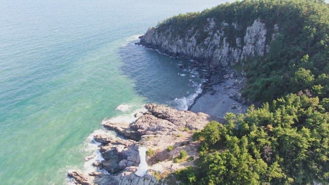 Rocky coastline with lush greenery