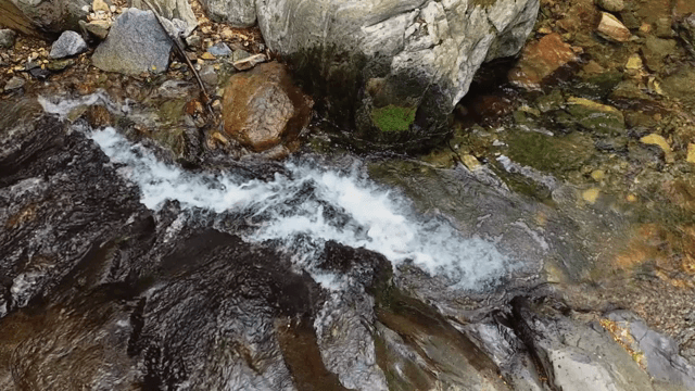 Serene stream flowing over rocks