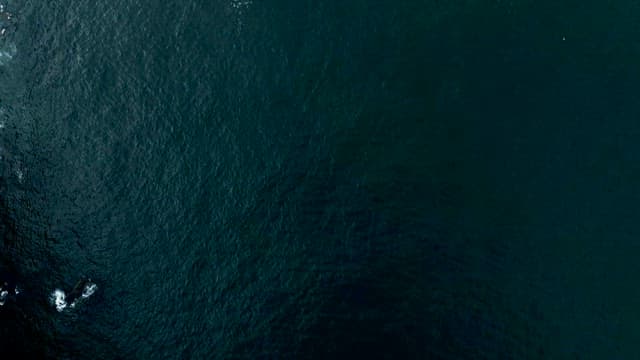 잔잔한 파도가 밀려와 부서지는 해안선의 풍경