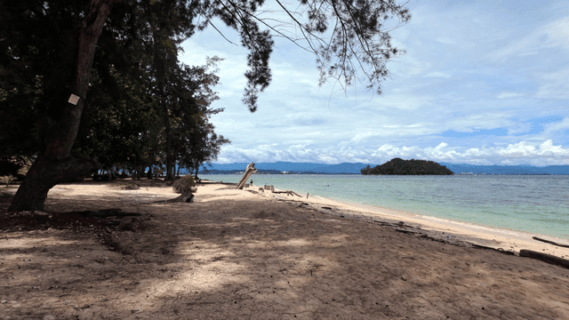나무와 먼 섬이 있는 고요한 해변