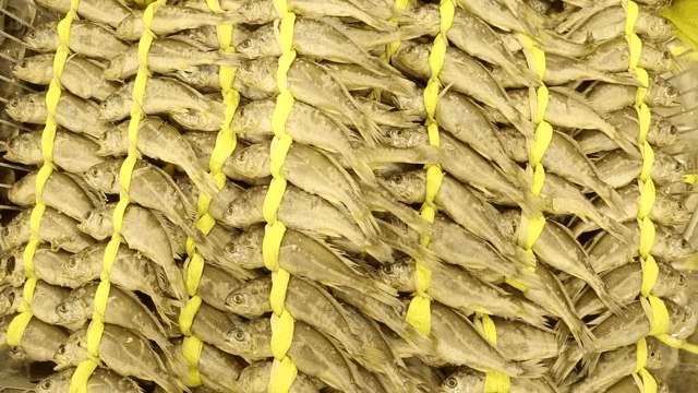 노란 끈으로 묶인 굴비