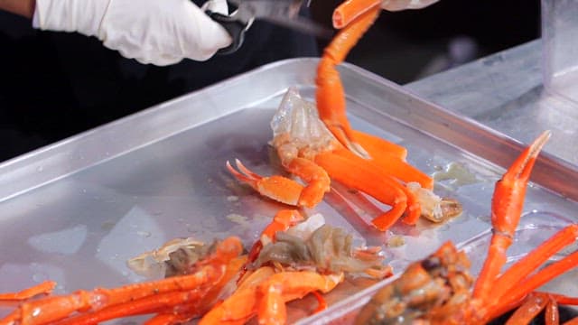 Hands cutting a red snow crab with scissors