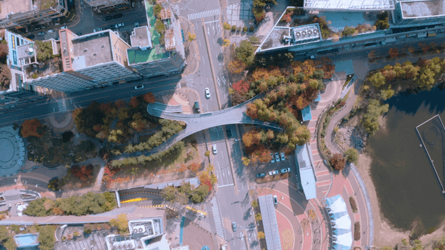 Aerial view of a city intersection with trees