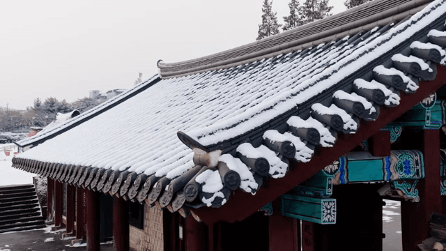 Snow-covered traditional Korean roof