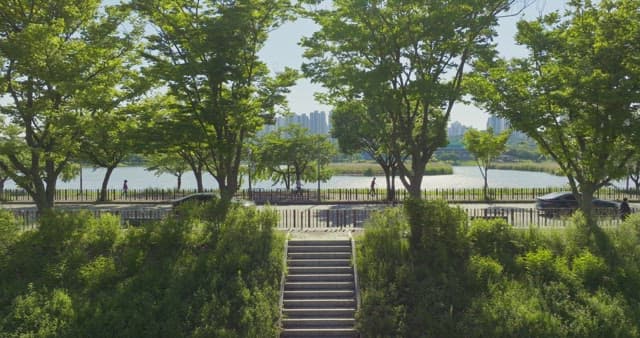 Riverside park with trees and skyscrapers