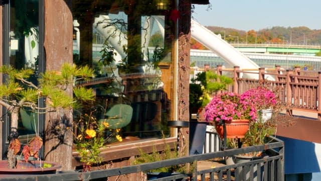 Charming store exterior with vibrant flowers and green plants on a sunny day