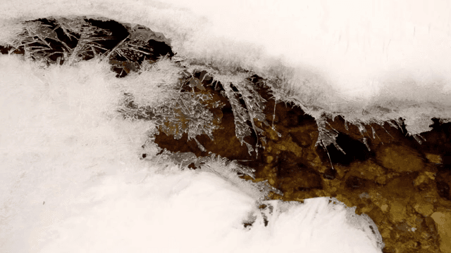 흐르는 시냇물 위의 얼음 형성