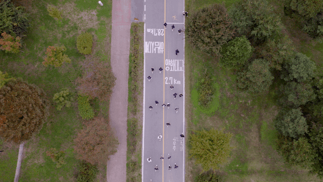 People running along tree-lined road