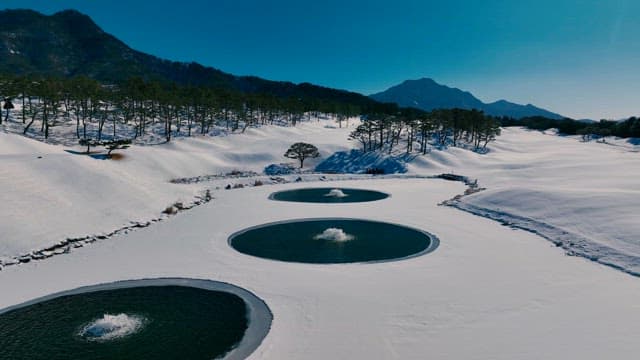 Snowy Landscape with Circular Ponds and Trees