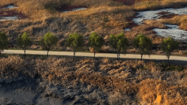 People walking on a path through nature
