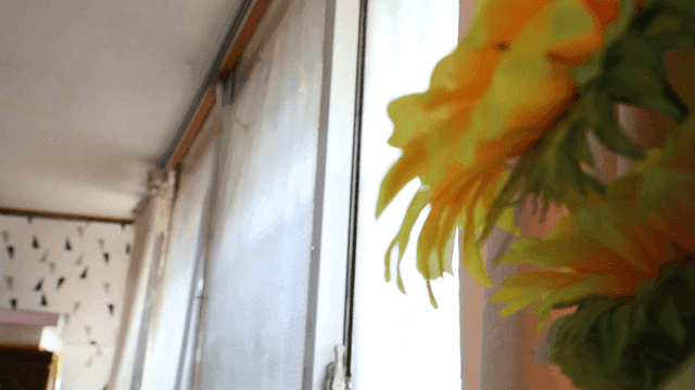 실내 창가의 꽃