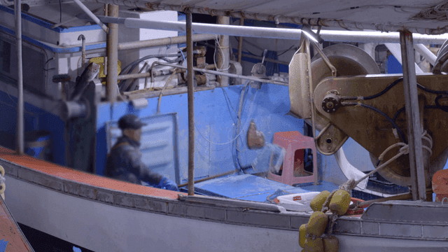 Fishing boat where fisherman throws fish with net
