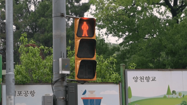 횡단보도에서 신호등이 바뀌는 모습