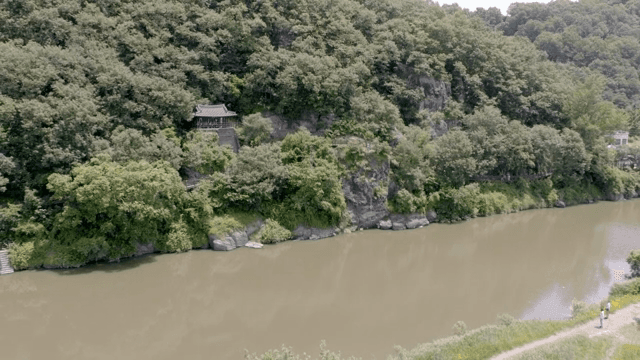 푸른 숲 속에 자리한 전통 정자