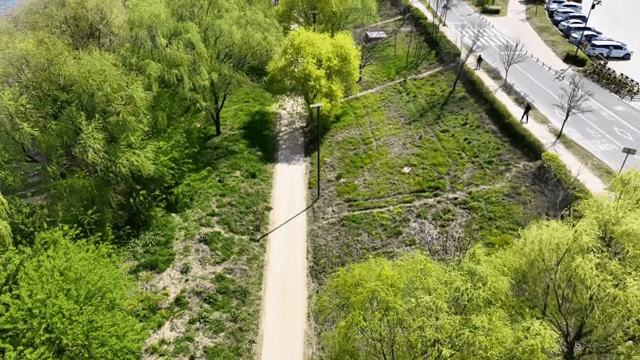 알록달록한 나무가 있는 강변길