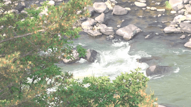 Flowing river with rocks and greenery