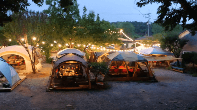 자연 속 저녁 캠핑장의 풍경