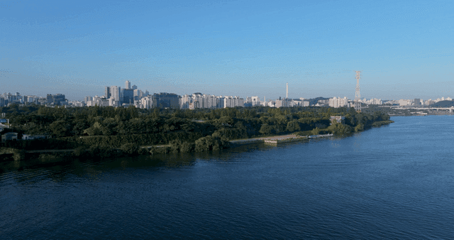 City skyline and bridges over river.