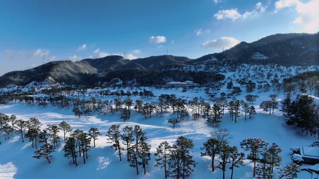 Snow-covered Landscape with Pines and Hills