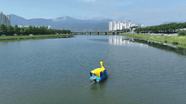 도시 풍경과 강 위의 알록달록한 오리배