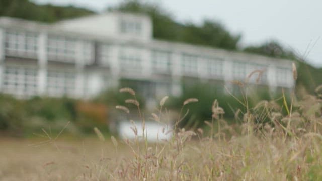 자연에 둘러싸인 폐건물