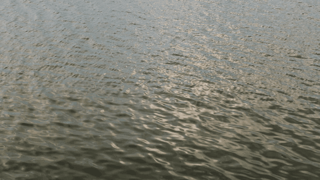 Rippling water surface reflecting sunlight