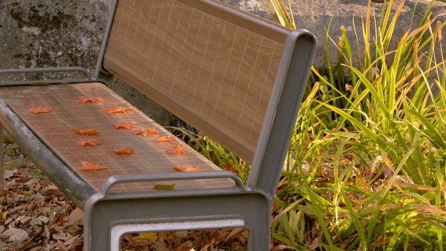 Bench with autumn leaves in a garden