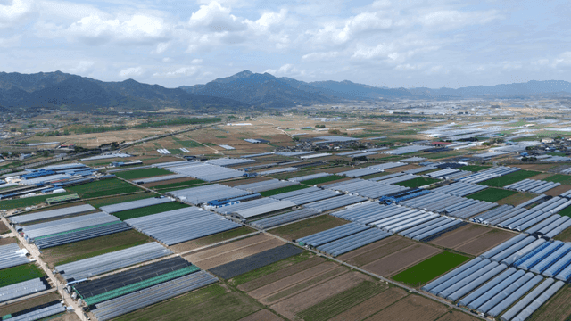 Expansive farmland with greenhouses